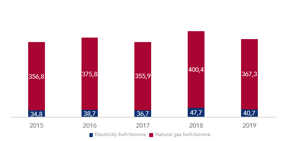 Electricity and Natural Gas consumption